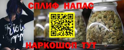 крисы Балаково