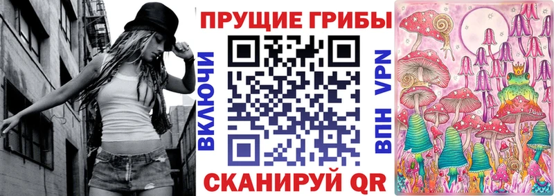 даркнет сайт  Белая Калитва  Псилоцибиновые грибы Psilocybine cubensis 