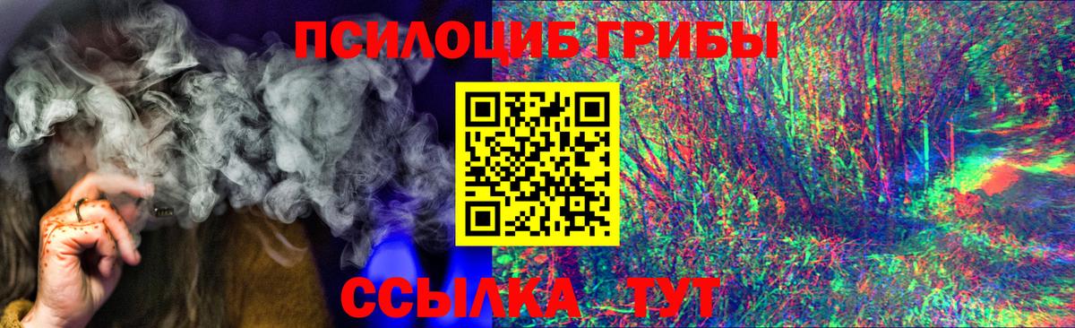 Галлюциногенные грибы Magic Shrooms  Вход с VPN  Белая Калитва  Псилоцибиновые грибы GOLDEN TEACHER 